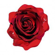 Sticker decorativ, Trandafir, Rosu, 60 cm, 10909ST