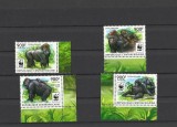 CENTRAL AFRICA 2015 WWF FAUNA PROTEJATA MAIMUTE GORILE