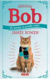 Carticica lui Bob, un motan cu scoala vietii - James Bowen