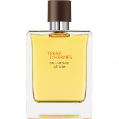 HERMÈS Terre d’Hermès Eau Intense Vétiver Eau de Parfum pentru bărbați 100 ml