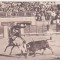 bnk cp Corrida de toros - Un buen rejon - necirculata