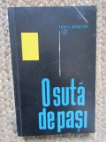 Teofil Busecan - O suta de pasi