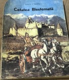 LITR2 Literatura Cetatea Blestemata