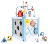 ECOTOYS Cub Sortator Educativ din Lemn, 20x20x20 cm, Multicolor, Certificat CE EN71, Varsta 12+ luni