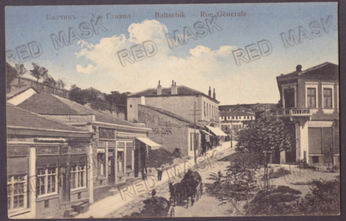 3388 - BALCIC, Dobrogea, Romania - old postcard - unused