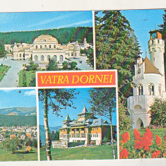 bnk cp Vatra Dornei - Vedere - circulata - marca fixa