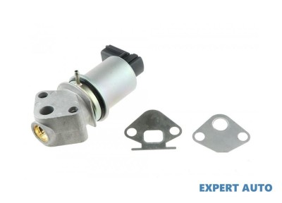 Supapa egr Skoda Fabia 1(1999-2008)[6Y2] #1 foto