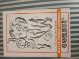 Carson McCullers Balada tristei cafenele, 1990, Alta editura