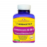Cordyceps Ciuperca Tibetana Forte Herbagetica 120cps