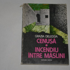 Cenusa - Incediu intre maslini - Grazia Deledda - 1987