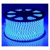 Furtun Luminos cu Banda 6000 LEDuri SMD5050 Albastre Rola 100m CL 8021