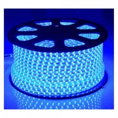 Furtun Luminos cu Banda 6000 LEDuri SMD5050 Albastre Rola 100m CL 8021 foto