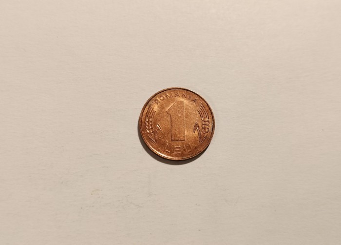 1 leu 1993 cu stema