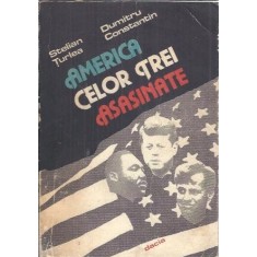 America celor trei asasinate - Dumitru Constantin, Stelian Turlea