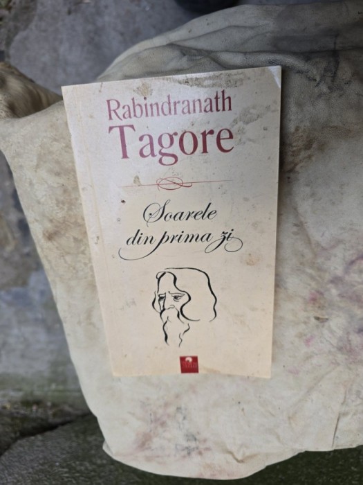 Soarele din prima zi - Rabindranath Tagore