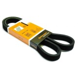 Curea Transmisie Cu Caneluri 12543 6DPK1195