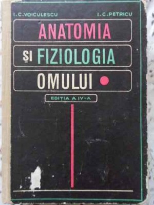 ANATOMIA SI FIZIOLOGIA OMULUI-I.C. VOICULESCU, I.C. PETRICU-280149 foto