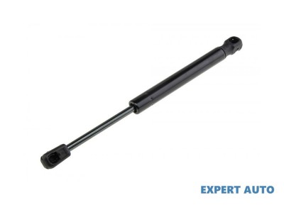 Telescop hayon Nissan Primera (2002-2006) [P12] #1 foto
