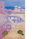 O musca in Sfantul Munte. O poveste tulburatoare despre descoperirea credintei - Vasilis G. Frangopulos