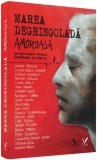 Marea degringolada amoroasa Violeta Borzea Editura pentru Arta si Literatura carte brosata