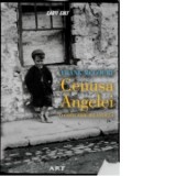 Cenusa Angelei. O copilarie irlandeza - Frank McCourt