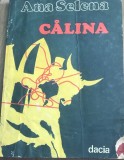 DVP1XLA Ana Selena - Calina