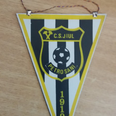 M3 C7 - Tematica cluburi sportive - Clubul sportiv Jiul Petrosani 1919