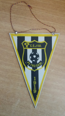 M3 C7 - Tematica cluburi sportive - Clubul sportiv Jiul Petrosani 1919 foto