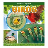Carte: Birds de Pamela Dell - Ghid ilustrat despre păsări pentru tineri cititori