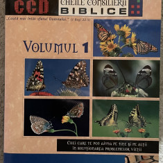 CHEILE CONSILIERII BIBLICE de JUNE HUNT , 2006