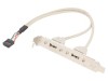 Adaptor USB A Soclu x2 Conector 10pin 0.25m