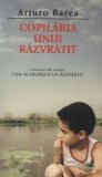 Cumpara ieftin Copilaria unui razvratit. Volumul I din trilogia Cum se faureste un razvratit/Arturo Barea