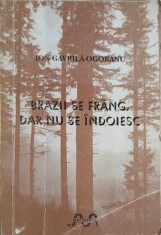 BRAZII SE FRANG, DAR NU SE INDOIESC VOL.1-ION GAVRILA-OGORANU-274231