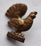 AGVPS - Vanatoare - Cocos de munte, insigna