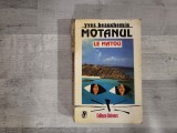 Motanul (Le matou) de Yves Beauchemin