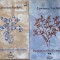 DICTIONARUL LUI LEMPRIERE VOL.1-2-LAURENCE NORFOLK-237620