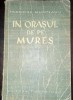 Francisc Munteanu - In Orasul de pe Mures