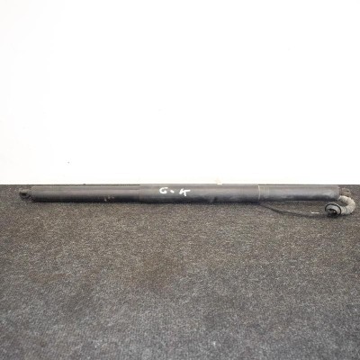 Amortizor haion st&amp;acirc;nga TESLA MODEL X 2016 OEM: 1065664-00-A 4111164 foto