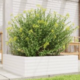Cumpara ieftin Jardinieră de grădină, alb, 80x80x23 cm, lemn masiv de pin