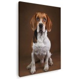 Tablou caine rasa Beagle Tablou canvas pe panza CU RAMA 70x100 cm