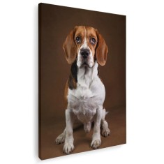 Tablou caine rasa Beagle Tablou canvas pe panza CU RAMA 20x30 cm