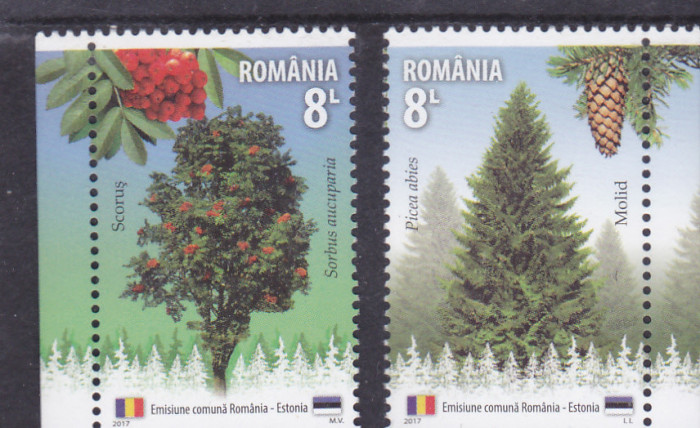 AURUL PADURILOR SPECII FORESTIERE,ROMANIA- ESTONIA,MNH,2017,Lp.2171, ** ROMANIA.