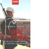 Turcia lui Erdogan. Intre visul democratiei si tentatia autoritara - Ahmet Insel