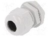 Presetupa poliamida, M20, IP68, RITTAL - 2411.621