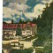 bnk cp Borsec - Vedere - circulata1959 - marca fixa