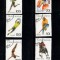 TANZANIA 1993 SPORT TIMBRE STAMPILATE
