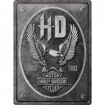 Placa metalica - Harley-Davidson Metal Eagle - 30x40 cm foto