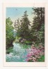 FA76 - Carte Postala - COREEA DE NORD - Pyongyang, Weir in Spring, necirculata, Fotografie