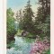 FA76 - Carte Postala - COREEA DE NORD - Pyongyang, Weir in Spring, necirculata
