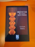 Br&acirc;ncuși pe calea desăv&acirc;rșirii - Lucian Gruia